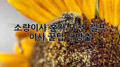 소량이사 혼자 도전? 🤔 셀프 이사 꿀팁 대방출! 📦🚚