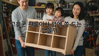 고흥군 원룸이사, 맘에 쏙 드는 곳 없을까? 🤔